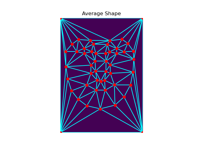 Average Shape