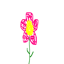 flower_drawn